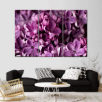 Orgona - 3 részes csík