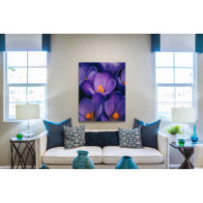 Sáfrányvirág - téglalap