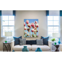 Tarka tulipánok - álló