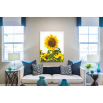 Napraforgó fej - álló