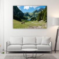 Legelő tehén Svájcban -...