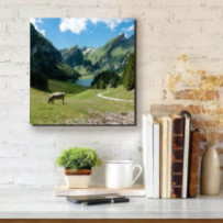 Legelő tehén Svájcban -...