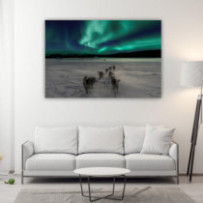 Sarki fény kutyás szánról -...