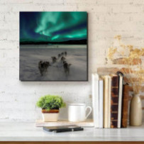 Sarki fény kutyás szánról -...