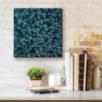 Fenyves Norvégiában - négyzet