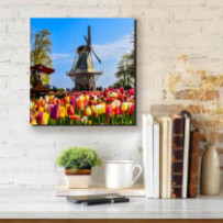 Malom a tulipánmezőn - négyzet