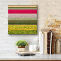 Keukenhof - négyzet