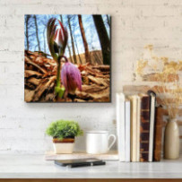 Ébred a Mátra - négyzet