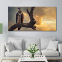 Keselyű - téglalap