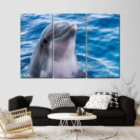 Delfin - 3 részes csík