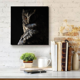 Bagoly - négyzet