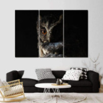 Bagoly - 3 részes csík