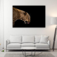 Leopárd - téglalap