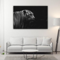 Tigris fekete-fehér - téglalap