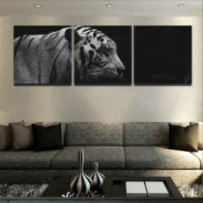 Tigris fekete-fehér - 3...