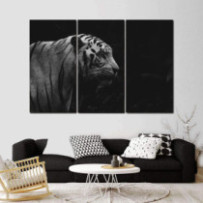 Tigris  fekete- fehér - 3...