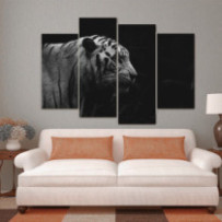 Tigris fekete-fehér - 4 részes