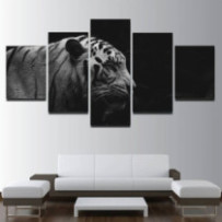 Tigris fekete-fehér - 5 részes