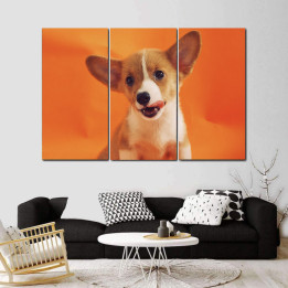 Corgie - 3 részes csík