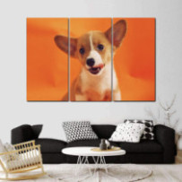 Corgie - 3 részes csík