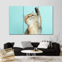 Macska - 3 részes csík