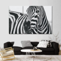 Zebra - 3 részes csík