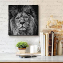 Oroszlán fekete-fehér -...