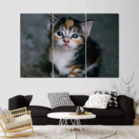 Kiscica - 3 részes csík