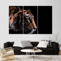 Tigris - 3 részes csík