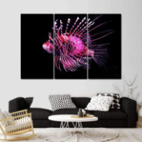 Tűzhal - 3 részes csík