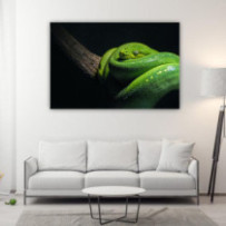 Smaragdzöld piton - téglalap