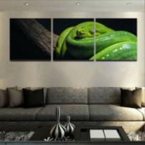 Smaragdzöld piton - 3...