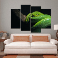 Smaragdzöld piton - 4 részes