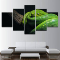 Smaragdzöld piton - 5 részes