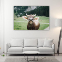 Braunvieh - téglalap