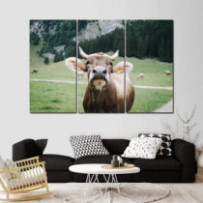 Braunvieh - 3 részes téglalap