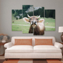 Braunvieh - 4 részes