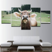 Braunvieh - 5 részes