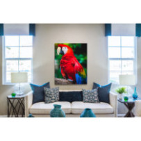 Ara papagáj - álló