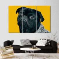 Mopsz - 3 részes csík