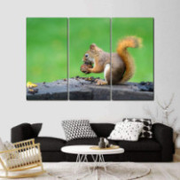 Mókus - 3 részes csík