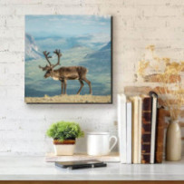 Rénszarvas - négyzet