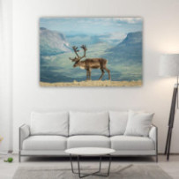 Rénszarvas - téglalap