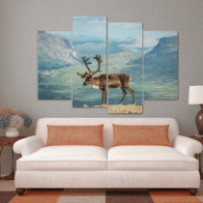 Rénszarvas - 4 részes