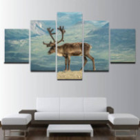 Rénszarvas - 5 részes