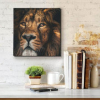 Oroszlánkirály - négyzet