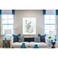 Fehér macska - álló