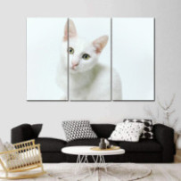 Fehér macska - 3 részes csík