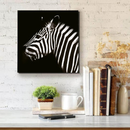 Zebra 2 - négyzet
