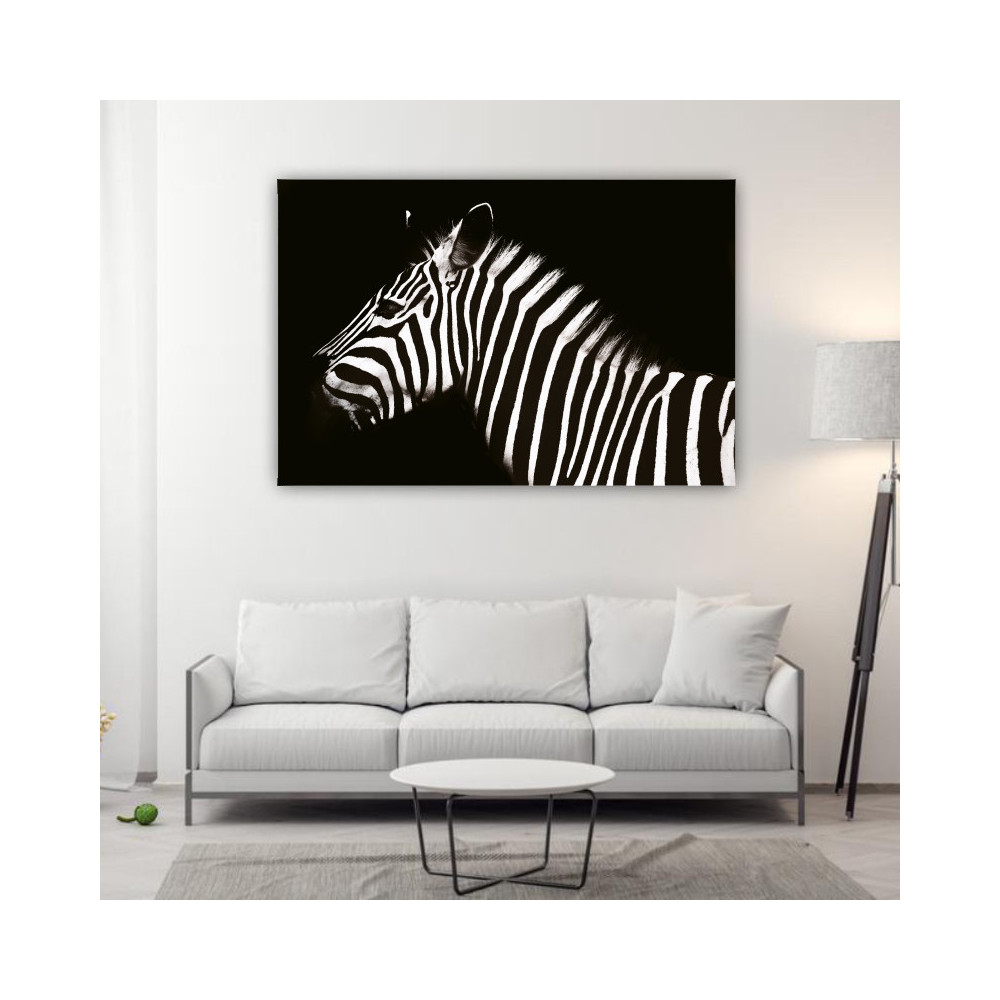 Zebra 2 - téglalap